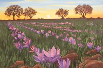 De viernes a domingo, 