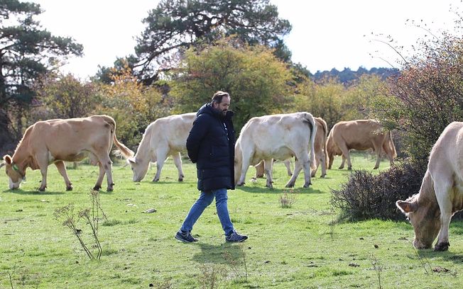 El PP reclamará en las Cortes soluciones ante los problemas que el lobo está causando en la Sierra Norte de Guadalajara