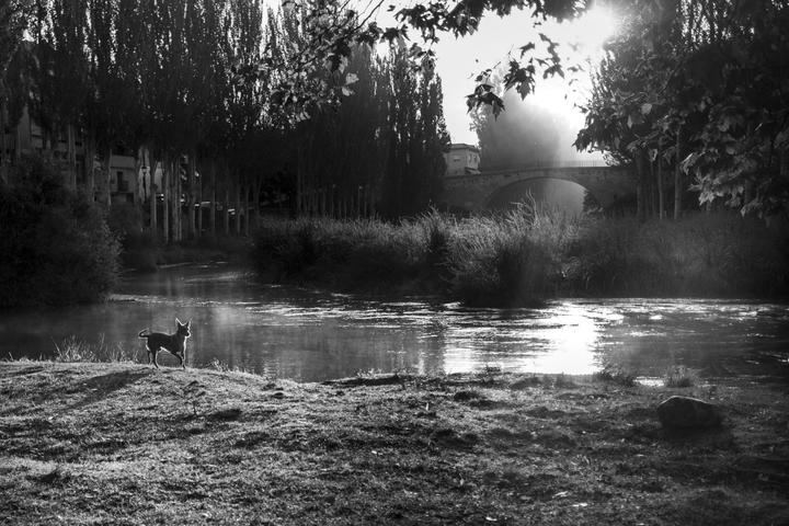 Iglesia de Trillo a través de la ventana, Primer Premio General del IV Concurso de Fotografía Objetivo: Trillo y comarca