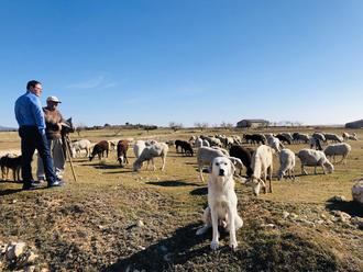 Prieto acude esta semana a Estrasburgo para reclamar medidas activas y reales en la lucha contra la despoblación