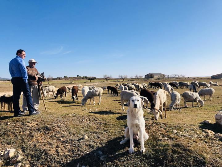 Prieto acude esta semana a Estrasburgo para reclamar medidas activas y reales en la lucha contra la despoblación