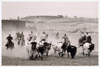 Apretando la manada, vencedora del 14º Concurso de Fotografía de ToroAlcarria