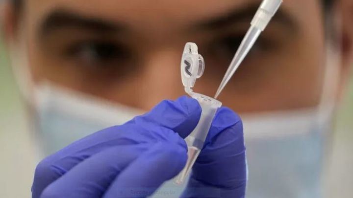 La OMS avisa de una nueva variante del COVID, la Pirola