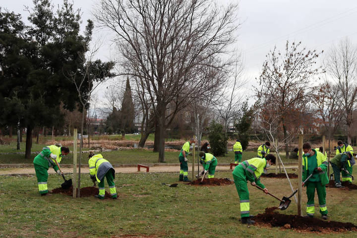 Alumnado del itinerario Auxiliar de jardinería realizando prácticas en el parque de La Quebradilla. Fotografía: Ayuntamiento de Azuqueca