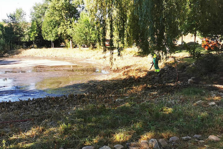 El Ayuntamiento de Azuqueca acomete la limpieza de la laguna de La Quebradilla