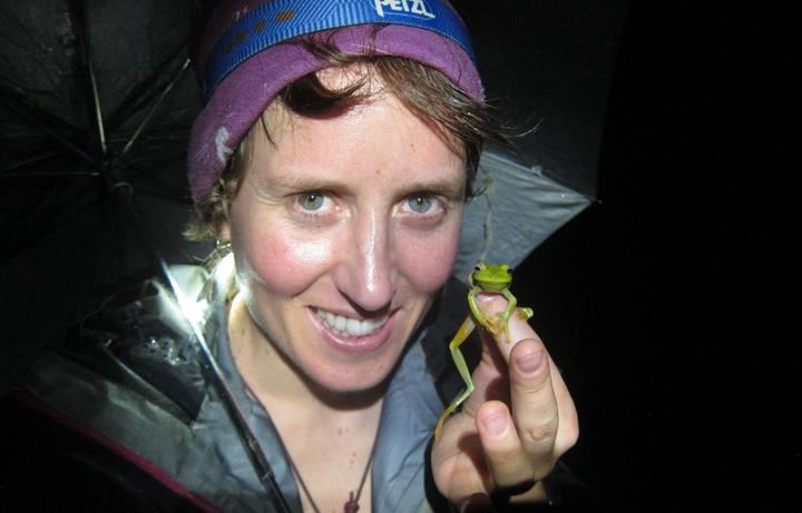 El canto de la ranita de San Antón, estudiado para predecir los efectos del cambio climático