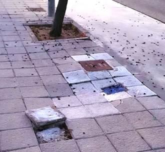 VOX pide explicaciones al Gobierno de Rojo y Ciudadanos sobre la vuelta al colegio en Guadalajara