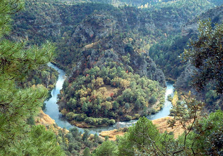 Al cumplirse 20 años como Parque Natural, se solicitará que una parte del entorno natural del Alto Tajo sea declarado Parque Nacional