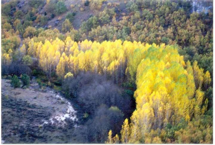 Brihuega vierte directamente las aguas sin depurar al río Tajuña, lo que supone un gasto fijo anual muy abultado, muchas sanciones y un problema medioambiental