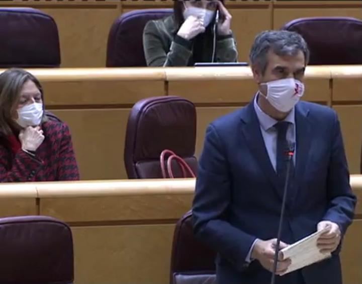 Román, rotundo en el Senado : “Trabajen para controlar la pandemia y tener una Navidad segura, no solo para seguir en el poder”