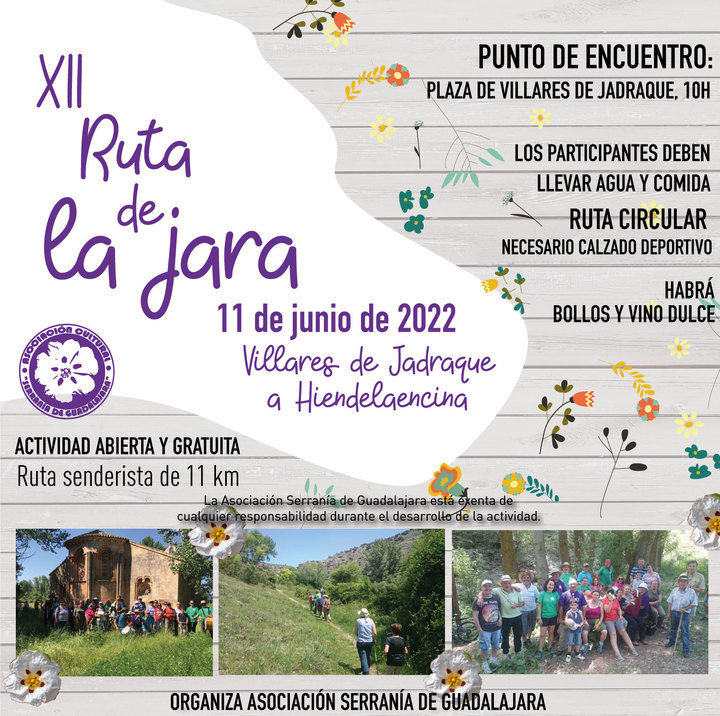 La XII edición de la Ruta de la Jara en Flor recorrerá los caminos entre Villares de Jadraque e Hiendelaencina