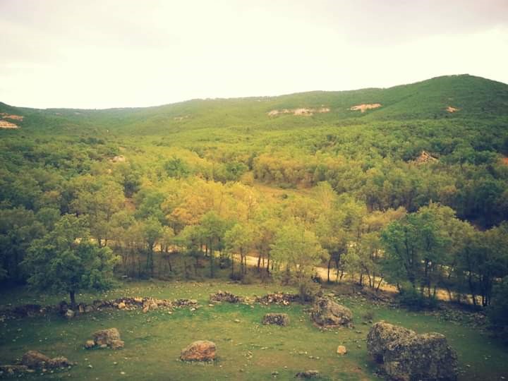 Historias de un confinamiento, cómo se une un pueblo a través de sus recuerdos...