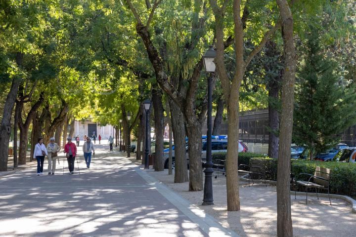 Clasificadas ocho ofertas para la nueva contrata de parques y jardines de Guadalajara