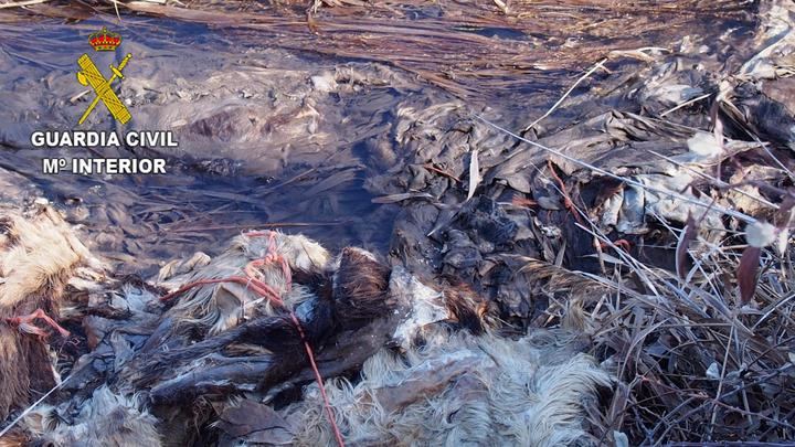 El Seprona intensifica sus actuaciones en la vigilancia de vertidos ilegales en la provincia de Guadalajara