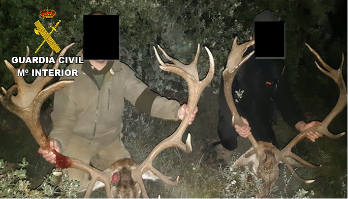 La Guardia Civil de Toledo investiga a un grupo criminal que organizaba eventos de caza mayor en varias provincias