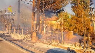 El Seprona detiene al supuesto autor del incendio de Valdepeñas de la Sierra en la provincia de Guadalajara ocurrido en el año 2022, tras una compleja investigación