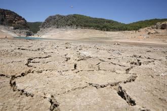 "Page ha engañado a 120.000 agricultores : Castilla la Mancha NO aprobará ayudas para la Sequía"