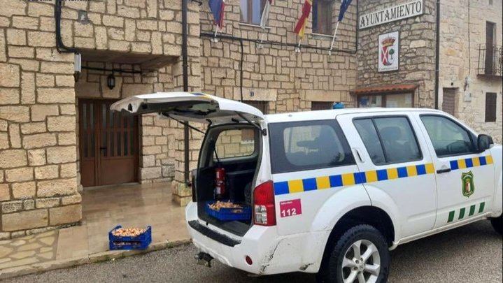 Decomisan más de 150 kilos de setas recogidas ilegalmente en Guadalajara