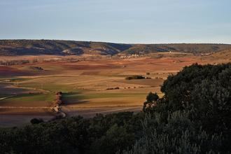 Letras vivas seguntinas : Sierra Ministra