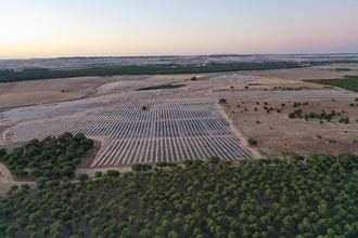Solaria recibe m&#225;s de 2.000 solicitudes de empleo en una semana para su complejo fotovoltaico Cifuentes-Trillo 626MW