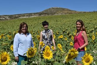 SPIKA TECH obtiene el sello EIBT DE ANCES a través del CEEI de Guadalajara