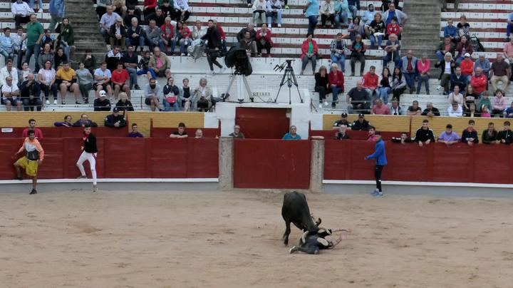Posterior suelta de vaquillas en el Primer Encierro de las Ferias y Fiestas de Guadalajara. Foto : EDUARDO BONILLA