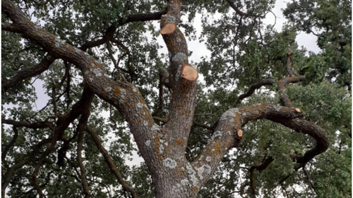 El patrimonio natural de Guadalajara atacado por la insensatez del Ministerio de Fomento