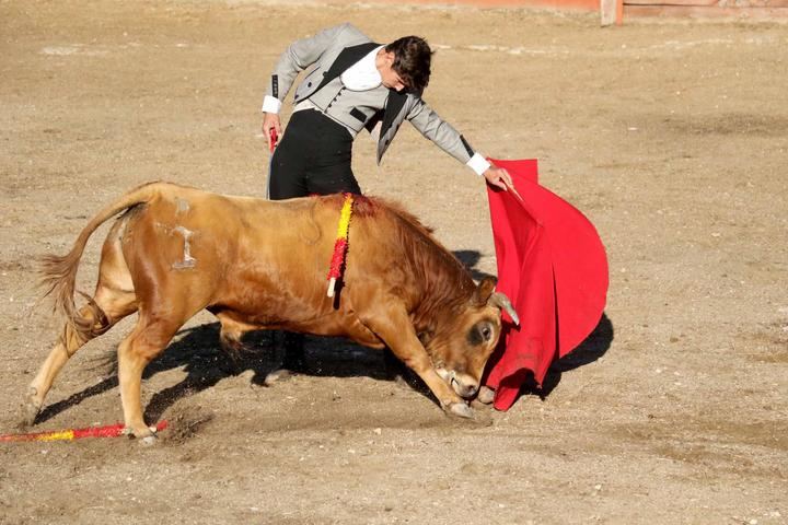 Siete orejas en la clase práctica tamajonera del certamen 'Guadalajara busca torero'