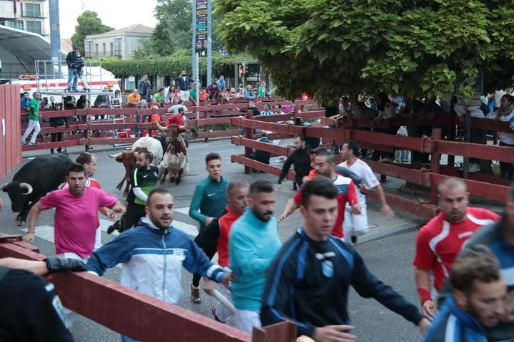 Foto : EDUARDO BONILLA