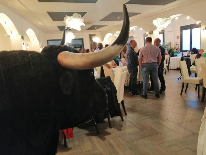 Gran éxito de la I Edición de 