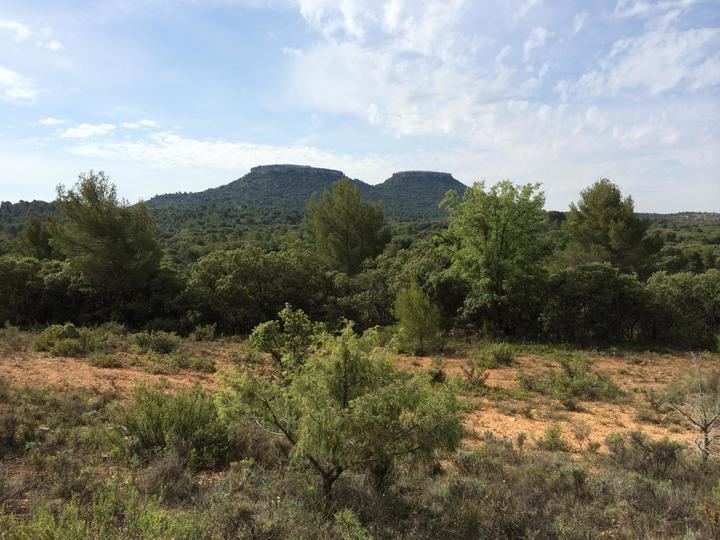 La escultura simbólica Lazo rosa, Tetas de Viana por la Vida quedará inaugurada este sábado a los pies de los cerros gemelos