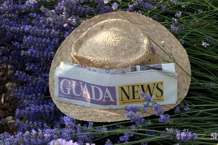 Más calor este martes en Guadalajara que está en ALERTA por ALTAS TEMPERATURAS