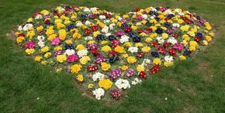Cielos despejados con algún intervalo nuboso este martes, San Valentín Día de los Enamorados, en Guadalajara bajando el mercurio a los 0ºC