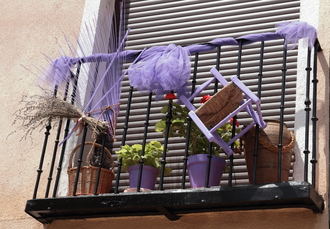 Ambiente soleado y temperaturas veraniegas este último sábado de mayo en Guadalajara llegando el mercurio a los ¡32ºC!