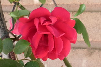 Bajan las temperaturas este lunes en Guadalajara con rachas de viento de hasta 27 km/h