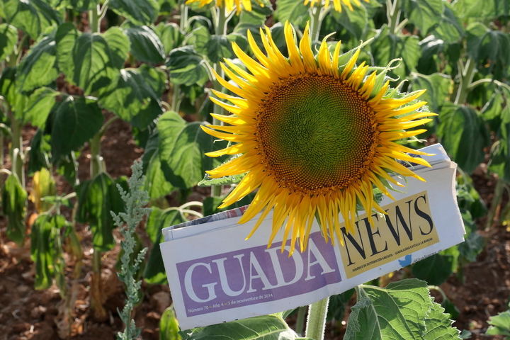 Sigue el ambiente soleado este viernes en Guadalajara llegando el mercurio a los 23ºC