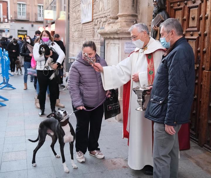 San Antón este lunes en Guadalajara. Foto : EDUARDO BONILLA