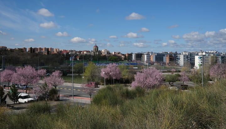 Guadalajara marcará máximos en la inmobiliaria este 2022