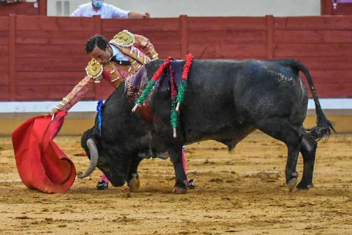 ¡Volvieron los toros a Alcalá!