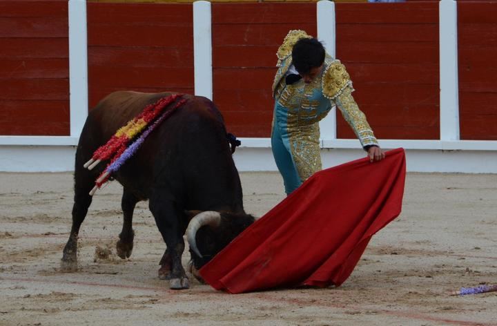 La Comunidad de Madrid insta al Gobierno de España a regularizar con FP la profesión del torero