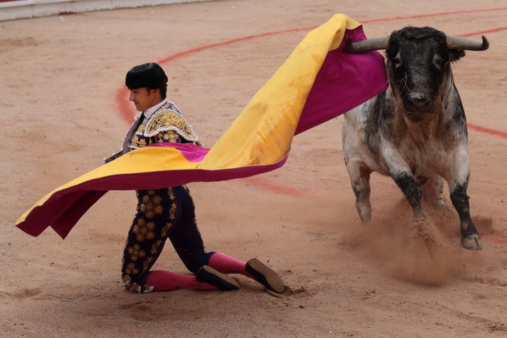 Toros en el Coso de las Cruces de Guadalajara en las Ferias de 2019. Foto : EDUARDO BONILLA
