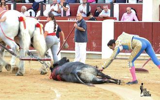 Dos toros de la ganadería de La Quinta dan la vuelta al ruedo en la Feria Taurina de Albacete