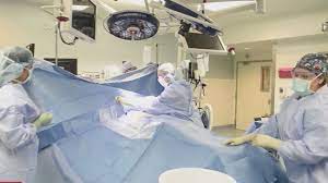 Trasplantan en Boston el riñón de un cerdo modificado genéticamente a un hombre de 62 años