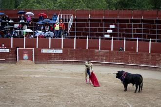 Puerta grande y salida a hombros, merecido final tras una tarde de toros pasada por agua en Trillo