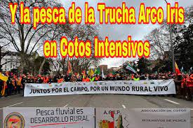 El Gobierno de Castilla La Mancha pone en peligro los cotos intensivos de pesca de Guadalajara, ya seriamente amenazados de cierre