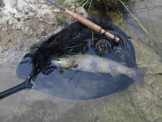 RÉPLICA de Jesús Carmona : La Junta NO pone en peligro a los cotos de pesca