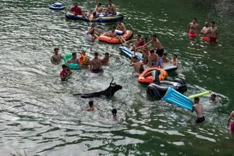 Las Vacas por el Tajo y la ola de calor llenaron 