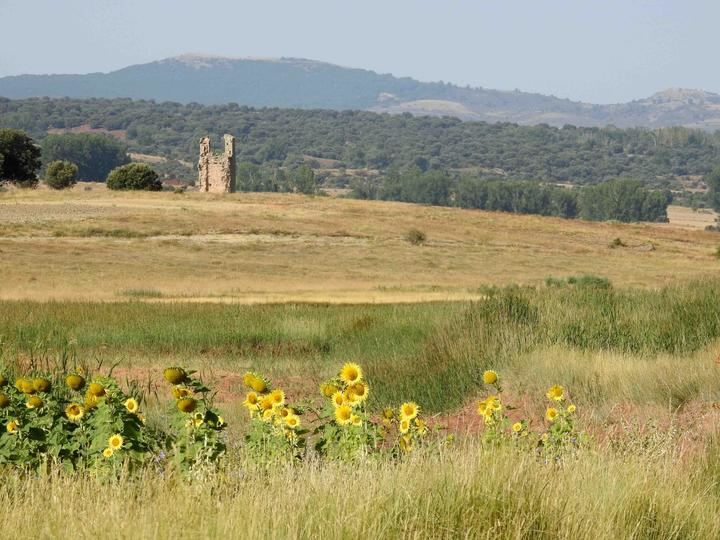El Valle del Río Salado: cuando un río se convierte en protagonista