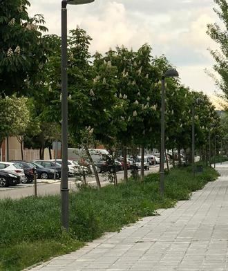 El exceso de vegetación invade parte de las aceras de las calles de Azuqueca provocando mosquitos e insectos molestos y perjudiciales para los vecinos