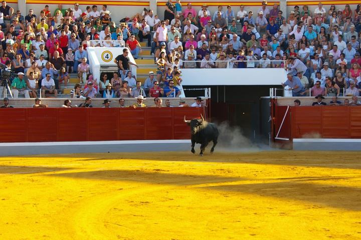 El Ayuntamiento de Villaseca de la Sagra presenta este viernes la corrida de toros de carácter benéfica a favor del Proyecto "Inmunoterapia avanzada en el cáncer infantil" 
